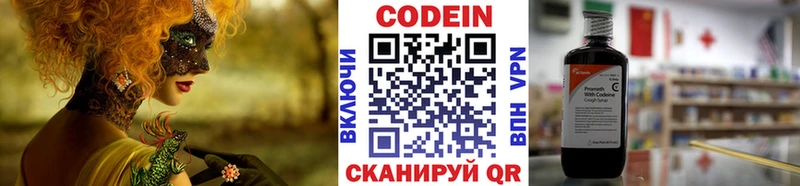 Кодеиновый сироп Lean напиток Lean (лин)  blacksprut как войти  Жиздра  купить  сайты 