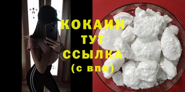 индика Абинск
