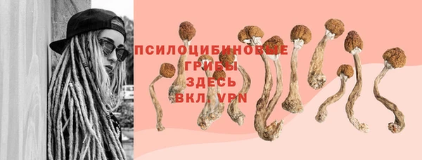 мяу мяу кристалл Алексин