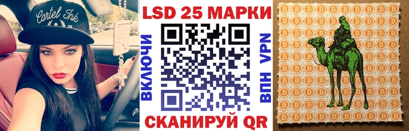 mega как войти  Жиздра  Марки NBOMe 1,8мг  магазин продажи наркотиков 