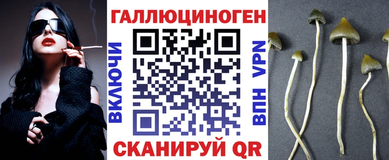 купить   Жиздра  Галлюциногенные грибы Magic Shrooms 