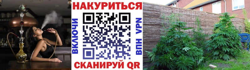 закладки  Жиздра  Марихуана LSD WEED 
